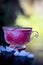 Close up of Iced tea of pomegranate and lemon on wooden surface in a transparent cup with entire ingredients with it i.e. sugar,po