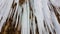 Close up of icicle at icefall Rotes Tor, Rankweil, Vorarlberg.