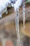 Close-up of an icicle while warming and melting ice on the roof of a house