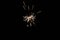 Close up on ignited sparkler in the dark
