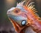 a close up of an iguana with its head turned to the side