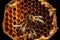 Close-up illustration of bees inside a hive of honey. AI Generation