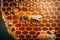 Close-up illustration of bees inside a hive of honey. AI Generation