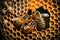 Close-up illustration of bees inside a hive of honey. AI Generation