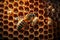 Close-up illustration of bees inside a hive of honey. AI Generation