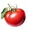 Close-Up Illustration of Dripping Vine-Ripe Tomato on white background