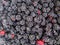 Close up image of blackberries background. blackberry