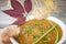 Close up image of a bowl of pumpkin soup with green onion on top.