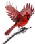 A close-up image of a cardinal in winter. Ai-generated.