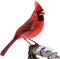 A close-up image of a cardinal in winter. Ai-generated.