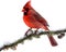 A close-up image of a cardinal in winter. Ai-generated.