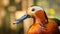 A close-up image of a duck featuring a remarkably long beak