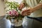 Close up image of an elderly woman with arthritis in her hands tending to a beautiful flowering plant in her home.