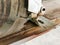 Close up image electric circular saw cutting wood.