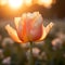 A close-up image focusing on a single tulip blossom. AI Generative