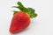 Close-up image of a freshly grown and picked Strawberry.