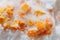 Close up image of frozen pumpkin cube slices mixed with grinded ice in a freezer