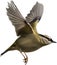 Close-up image of a Goldcrest bird. AI-generated.