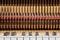 Close up image of grand piano keys and interior showing strings, hammer and structure background