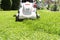 Close up image of grey electric lawn mower cutting green grass in garden.