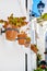 Close up image hanging flower pots in row on residential houses wall in pueblo blanco, charming small village of Mijas