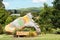 Close up image of the iconic landmark gumboot entering the area of Taihape