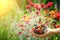 Close-up image of kid hands holding black currant and strawberry. Young girl holding fresh berries after harvest from garden.