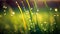 Close-up image of leaves and grasses with water drops