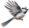 A close-up image of a Long-Tailed Tit bird. Ai-Generated.
