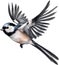 A close-up image of a Long-Tailed Tit bird. Ai-Generated.