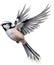 A close-up image of a Long-Tailed Tit bird. Ai-Generated.