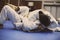 Close up image of men exercise judo.