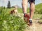 Close-up image of a men\'s legs during the mountain walk