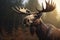 Close-up image of a moose in a forest. Blurred background and cinematic light.