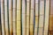 Close up image of an old bamboo wall. decorative wall panel, colorful bamboo stems in a vertical pattern. Group of