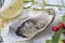 Close up image of oyster and Christmas mistletoe and holly branch