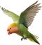Close-up image of a Peach-Faced Lovebird. AI-generated.