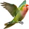 Close-up image of a Peach-Faced Lovebird. AI-generated.