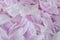 Close up image of pink gentle peony petals background.