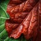 Close Up Image Of A Red Begonia Leaf In Detailed Hyperrealism