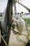 close up image of selective focus white buoy hanging, anchored b