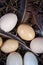 Close-up image of several native eggs with different shell colors next to each other  in a basket with bird feathers.