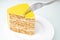 Close-up image of someone eating honey cake with a fork. Sweet dessert on a plate