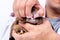 Close up images  People or vet  squeeze the rabbit\'s mouth with their hands To check the health and strength of rabbit teeth
