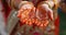 Close-up of an Indian bride& x27;s hands with intricate henna design and traditional bangles