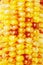 Close up of Indian corns