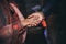 Close up of Indian couples hands at a wedding