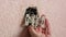 Close-up of installing an electrical outlet on a wall in an apartment. A master electrician uses a screwdriver to mount the wires