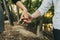 Close-up of the intertwined hands of a couple in love walking through a forest