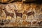 close-up of intricate cave art depicting animals